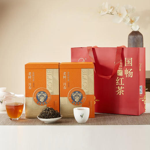 国畅丨老树三月春 英红九号 英德红茶 精选春茶 一级 250g 买2罐配手提袋 商品图0