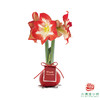 红白花-好运至 石蜡朱顶红（不用浇水） 商品缩略图0