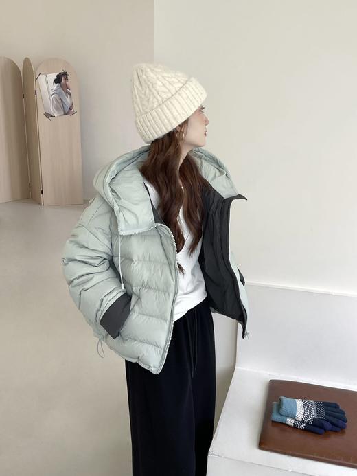 【YW】无忧购50绒女士羽绒服拼色洋气小个子短款宽松白鸭绒外套 8521（截单后3-5天发货） 商品图5