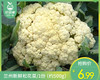 【叼鲜蔬】兰州新鲜松花菜/1份（约500g） 商品缩略图0