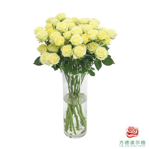 婚礼邀请 10枝一扎 商品图3