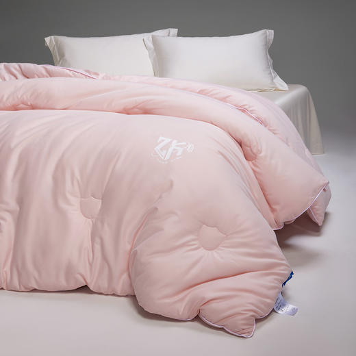 【热卖推荐】自然醒60支全棉磨毛10A中科抗菌被子被芯LFS 商品图2