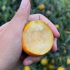 西域美农 广西融安金桔  滑皮金桔  脆蜜金桔 从皮到芯都甜滋滋的 商品缩略图10