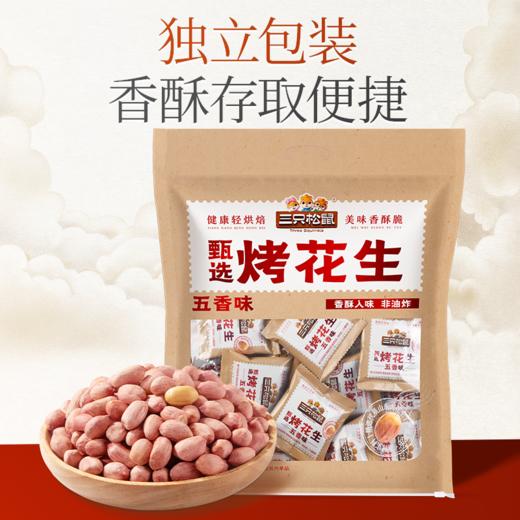 三只松鼠 五香烤花生480g（16g*30包） 商品图3