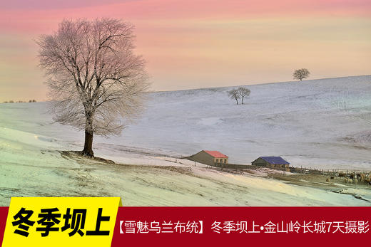 1.10确定出发【雪魅乌兰布统】冬季坝上•金山岭长城7天全景摄影 商品图0