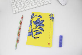 故宫陶瓷纹样练习本折枝花果纹款