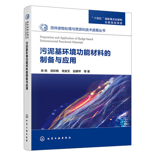 污泥基环境功能材料的制备与应用 商品图1