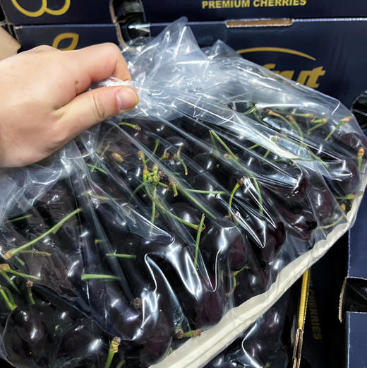 高品【科迪亚】智利空运科迪亚车厘子，新鲜度高，口感甜脆，高光泽度，非常好的一款车厘子！ 商品图3