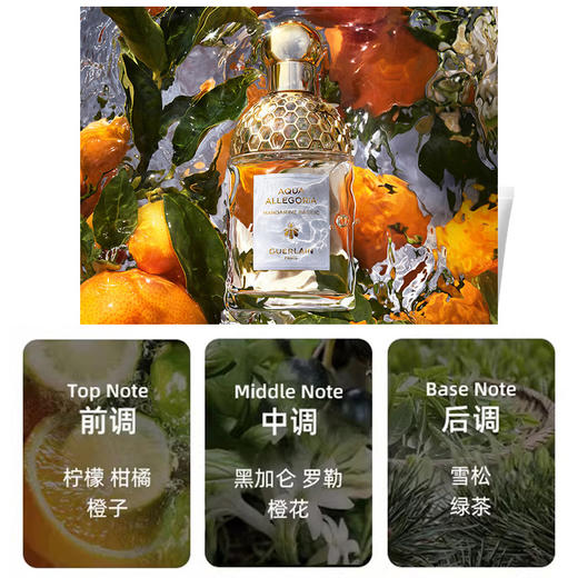 【保税仓】Guerlain娇兰24年圣诞限定香水三件套（柑橘罗勒淡125ml+柑橘罗勒淡15ml+柑橘罗勒7.5ml） 商品图1