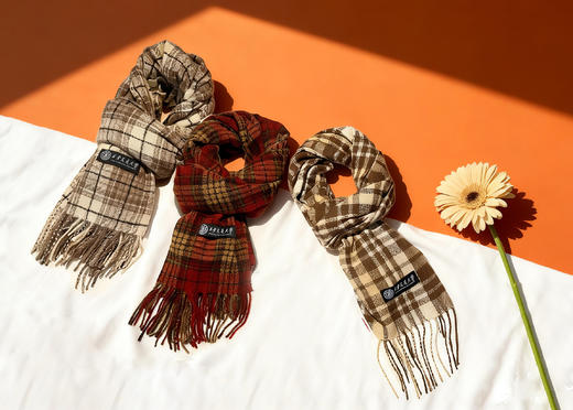 围巾B款 商品图0