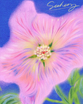 锦江丨SCC·盛开