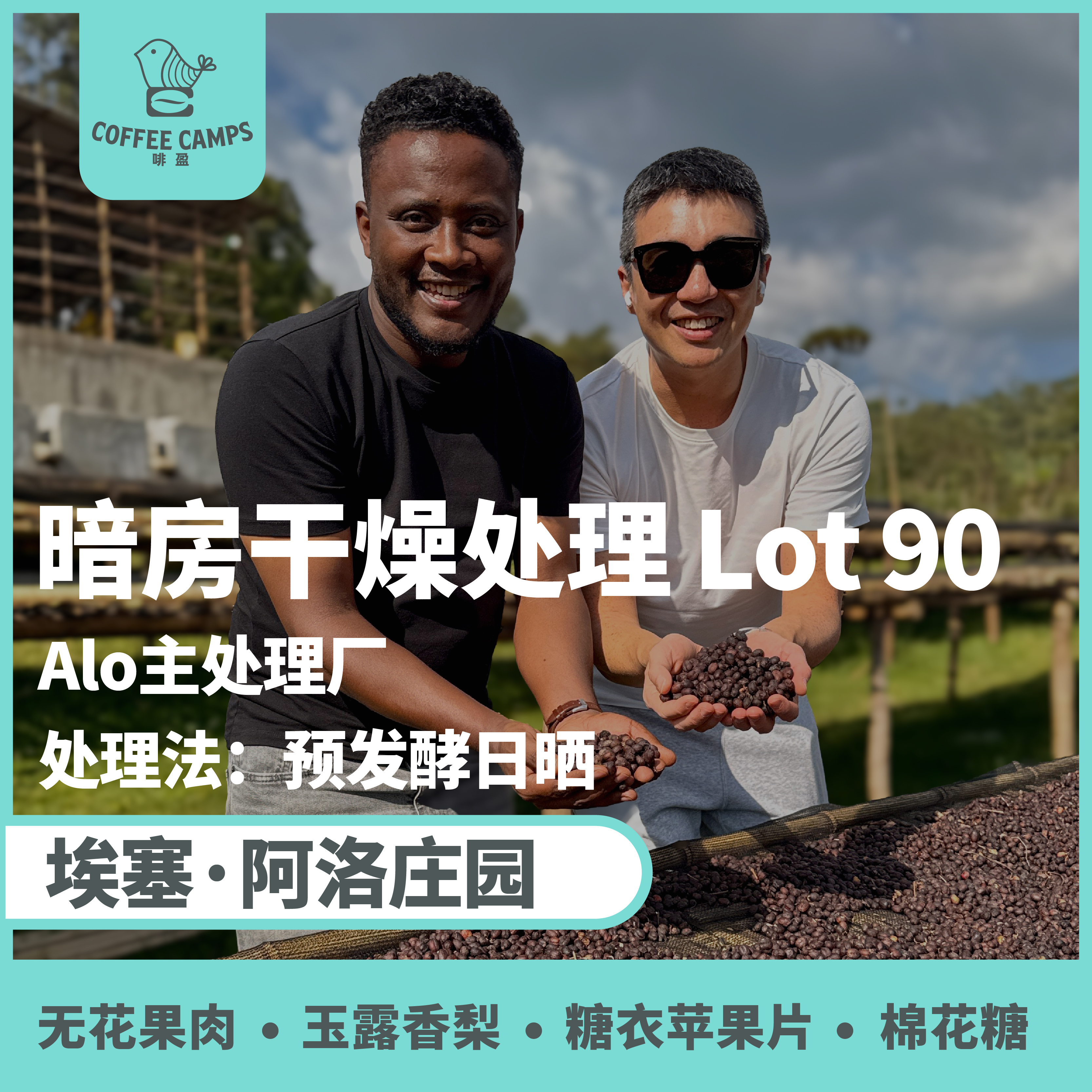 25产季 埃塞 阿洛 Alo 暗房 LOT 90 预发酵日晒（生豆）空运批次