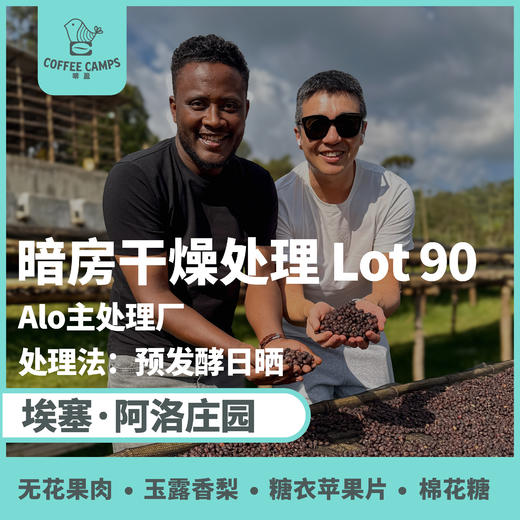 25产季 埃塞 阿洛 Alo 暗房 LOT 90 预发酵日晒（生豆）空运批次 商品图0