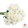 嘉荷多头- 白巧芝士10枝一扎 商品缩略图1