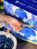 【抚仙湖 湖边蓝莓 】优选甜果 甜润多汁 清凉果香 迸发充溢果汁 露天种植自然纯净 商品缩略图2