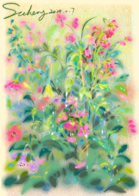 锦江丨SCC路边野花系列04