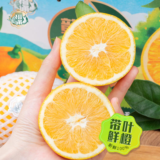 ZN江西赣南脐橙大果9斤彩箱装【分仓直发，72小时发货，周末节假日不发货】 商品图7