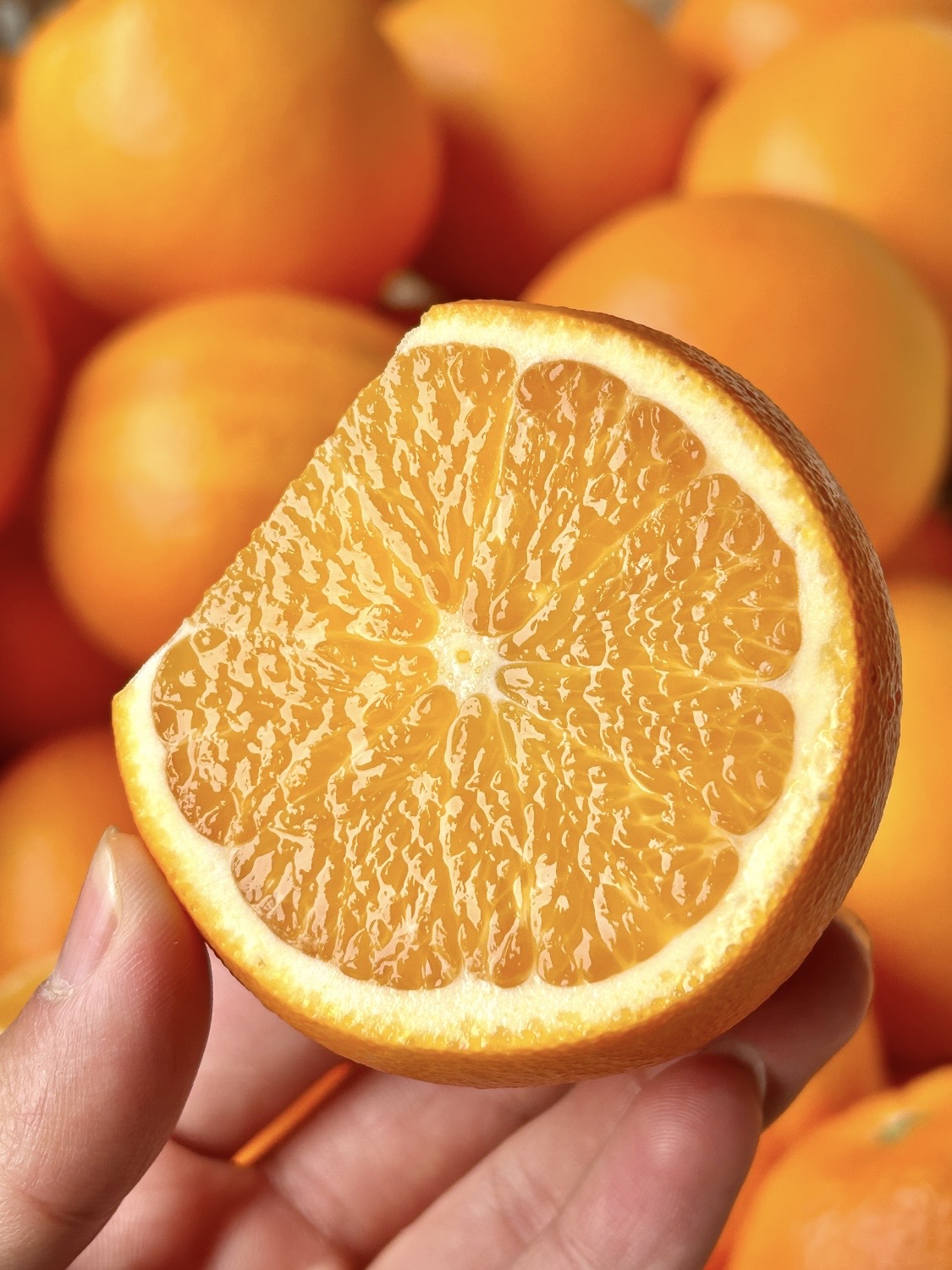 赣南脐橙 | 最有橙子味儿的橙子🍊现摘现发·鲜甜多汁·0差评团友无限回购!!!