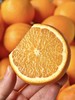 赣南脐橙 | 最有橙子味儿的橙子🍊现摘现发·鲜甜多汁·0差评团友无限回购!!! 商品缩略图0