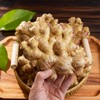 【秒杀中！产地直发】云南高原小黄姜/老姜，姜中“王者”  药食同源的生姜，够香够辣 商品缩略图2