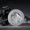 【全款预售】2026年圆明园十二生肖马首银章 60克加厚银章 中国澳门钱币学会 商品缩略图3