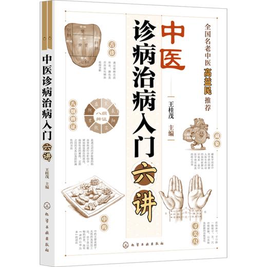 中医诊病治病入门六讲 商品图1