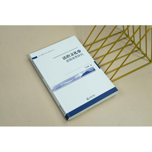 法治文化的实践培育研究 王金霞著 法律出版社 商品图2
