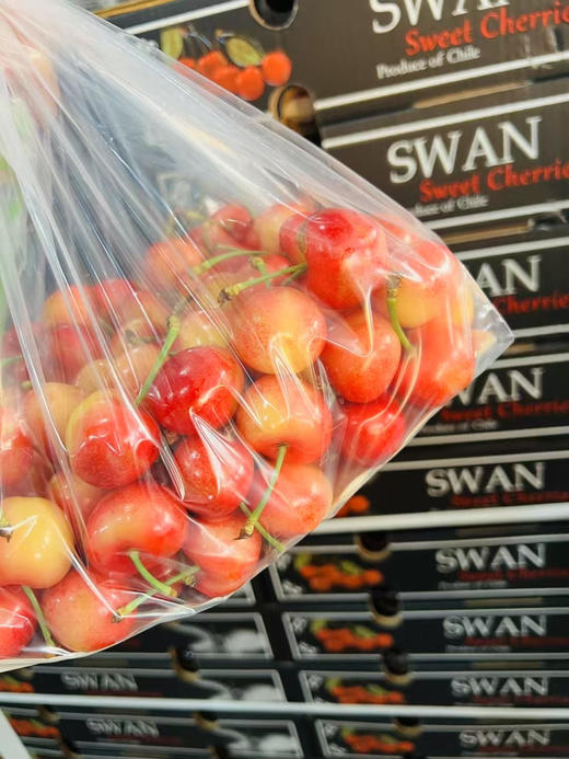 黑天鹅斯凯拉蕾、硬、脆、甜 商品图0