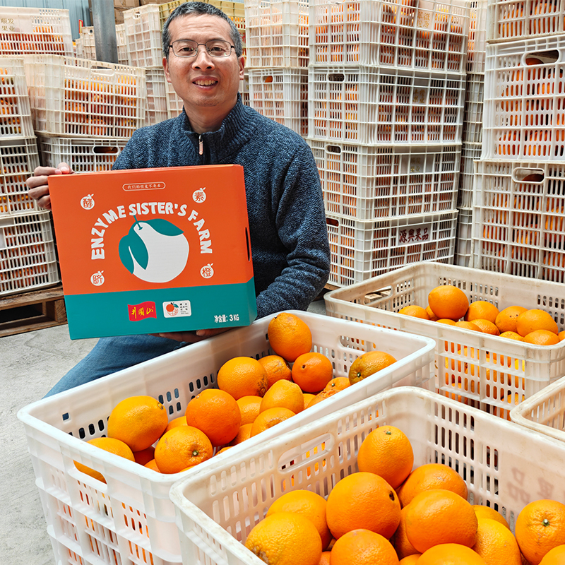 酵素脐橙  3公斤/5公斤装 有机认证 产地直发
