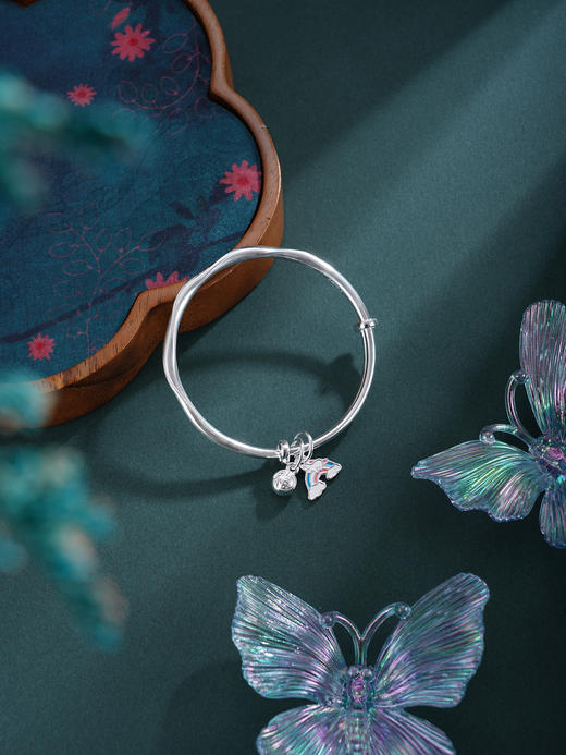 子佩集【逐光小马】银S999童镯【WT000396】彩虹福马 商品图0