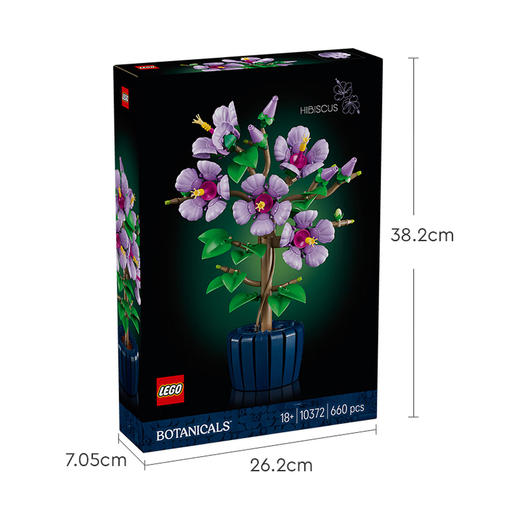 乐高LEGO 芙蓉LEGC10372 商品图5