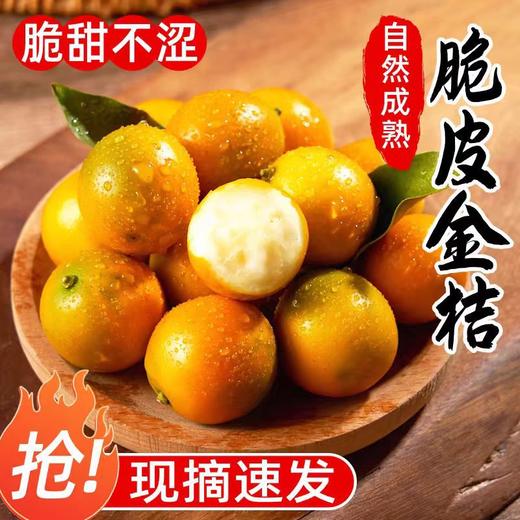 【自然成熟❗️脆甜不涩】广西融安脆皮金桔桂林小金桔整箱包邮新鲜现摘水果当季。jb 商品图1
