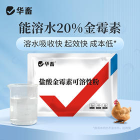 华畜20%盐酸金霉素可溶性粉 鸡慢性呼吸道疾病