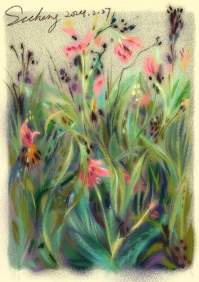 锦江丨SCC路边野花系列03