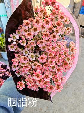 配花 | 平头腊梅胭脂粉