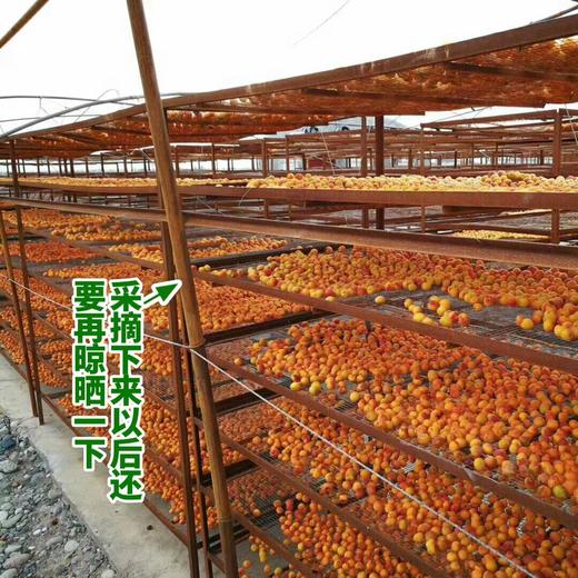 【吊干杏】新疆32四团吊干杏，不加一丁点糖，自然成熟，风干于树，清洗晾晒后，Q弹香糯，好像在吃杏子味的QQ软糖，越吃越上瘾！ 商品图4