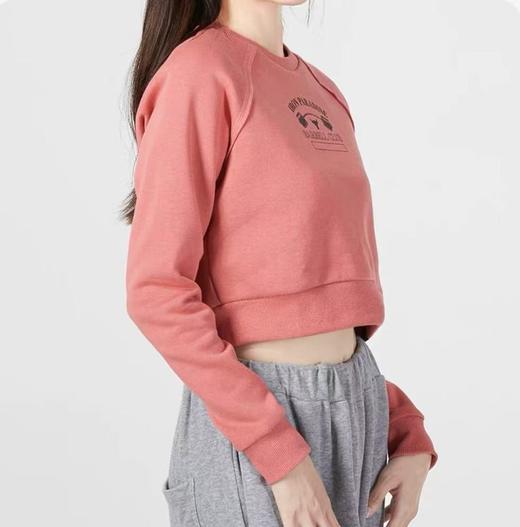 99.9元安德玛加绒卫衣580888-LN（限时一口价线上线下同时售卖 不保证有货 ） 商品图0