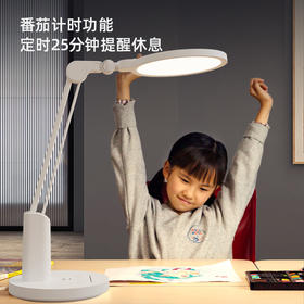 好视力国AA级护眼台灯TG068-S