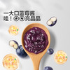 宝宝馋了 有机蓝莓酱 150g 商品缩略图4