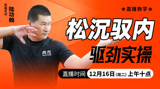 松沉驭内驱劲实操——直播教学（陆师亲授） 商品图0