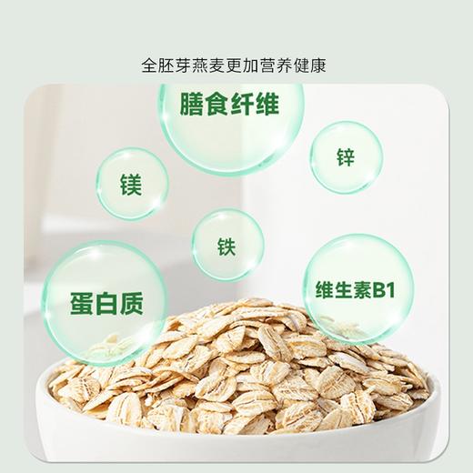 有机燕麦片  免煮原味 塞外之宝  来自内蒙古大草原 专注燕麦15年 商品图5