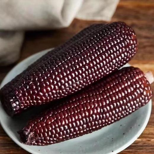 【有机小黑糯玉米】！有机种植，有机高温蒸煮，含花青素，口感香甜软糯，采收吐穗后22-24天黄金期的玉米，严控采收量，确保当天都能锁鲜入库 商品图1