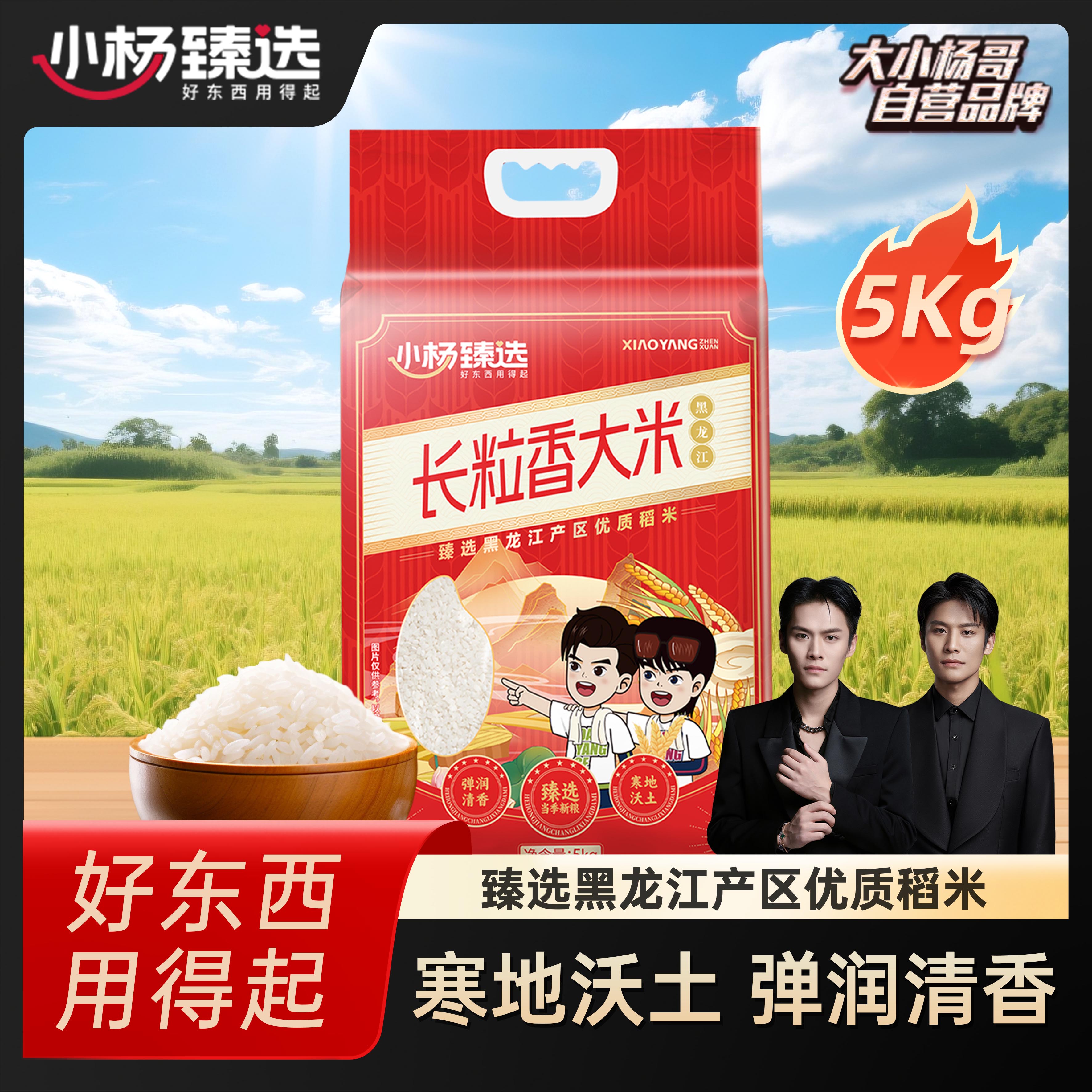 小杨臻选长粒香大米黑龙江产优质稻米弹润清香粳米稻香礼品