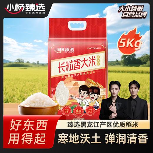 小杨臻选长粒香大米黑龙江产优质稻米弹润清香粳米稻香礼品 商品图0