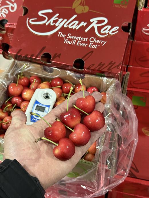 智利天空之城车厘子丨金车的天花板，遗落在人间的“小糖豆”，又脆又甜，每一口都是在刺激大脑释放多巴胺！产量非常稀少，喜欢吃的快下手！⭐️顺丰空运 商品图2