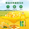 陇间柒月 暮秋坊玉米油1.8L 商品缩略图2
