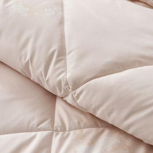 10楼 富安娜 冬栗新西兰羊毛冬厚被 /标准 / 黄  203*229  1900g  吊牌价 2180元   活动价299元 商品图5