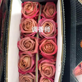 玫瑰.调香师