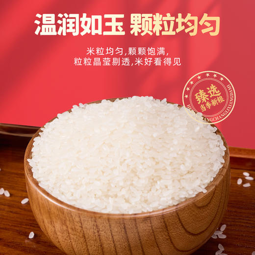 小杨臻选长粒香大米黑龙江产优质稻米弹润清香粳米稻香礼品 商品图2