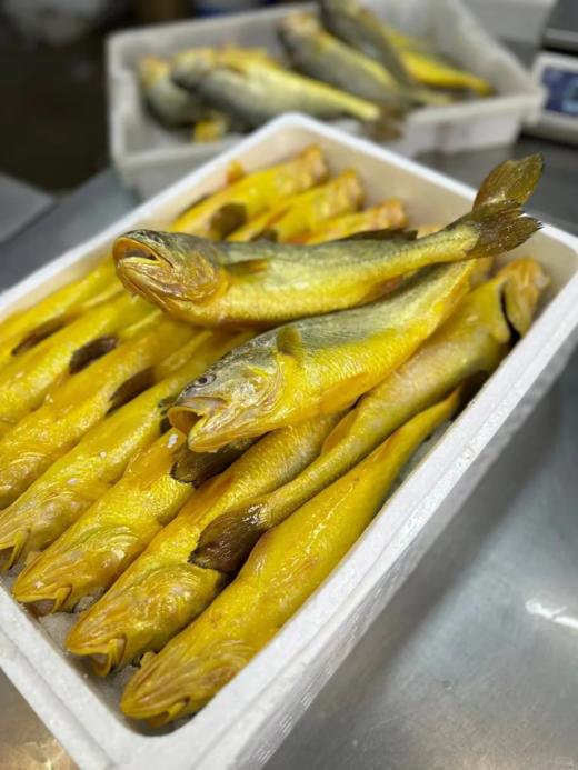 & 海里的“黄金鱼”黄花鱼🐟，超鲜嫩口感，最佳人气海鱼！活冻 商品图2